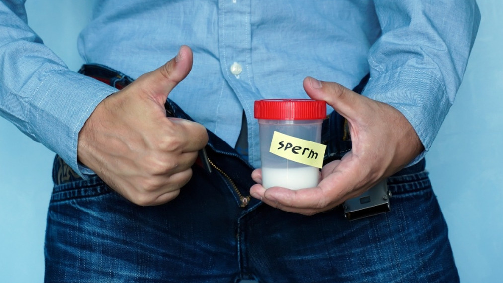 美国丹麦精子银行